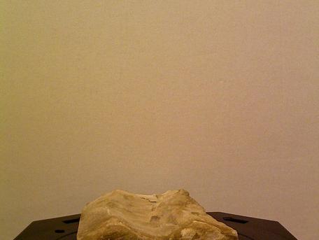 Image of original Rippled Sandstone specimen.