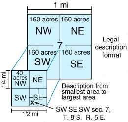 QCalls Explanation Image